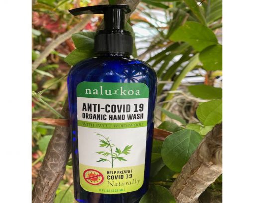 anti covid-19 organic hand wash